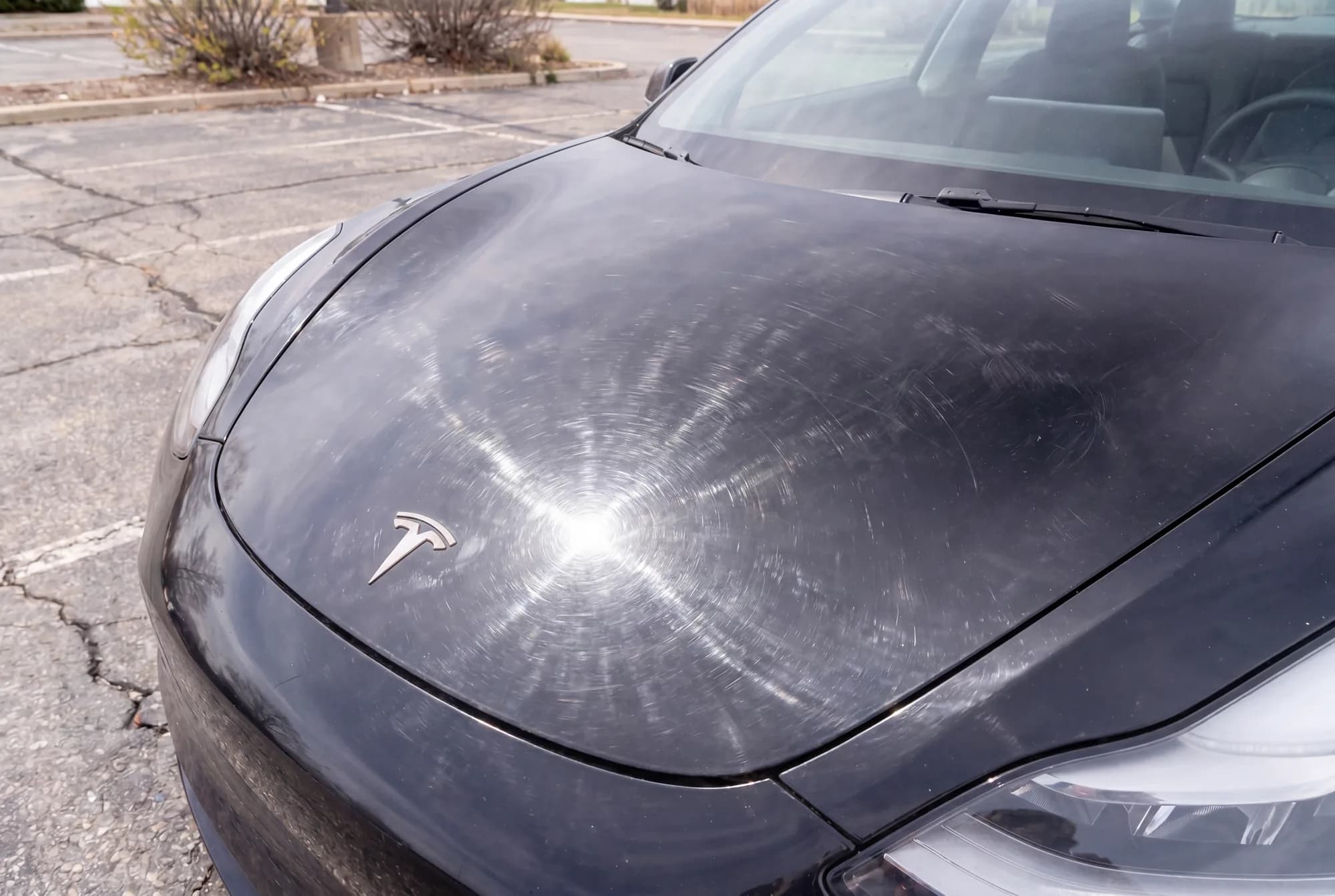 Tesla Model 3 hood before paint correction, showing swirl marks and dull finish
